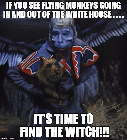 ebola flying monkey wizard of oz | IF YOU SEE FLYING MONKEYS GOING IN AND OUT OF THE WHITE HOUSE . . . . IT'S TIME TO FIND THE WITCH!!! | image tagged in ebola flying monkey wizard of oz | made w/ Imgflip meme maker
