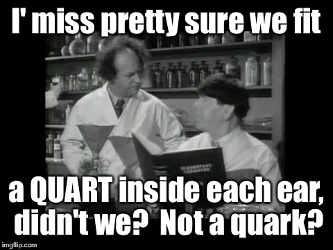 I' miss pretty sure we fit a QUART inside each ear, didn't we?  Not a quark? | made w/ Imgflip meme maker