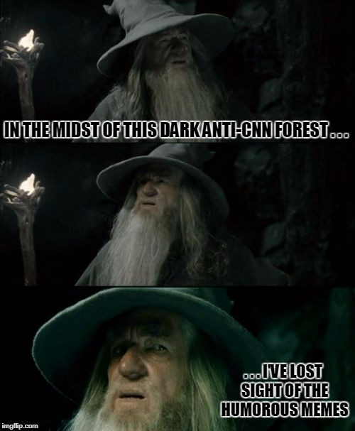 hey guys, it's called retentive-compulsive behavior | IN THE MIDST OF THIS DARK ANTI-CNN FOREST . . . . . . I'VE LOST SIGHT OF THE HUMOROUS MEMES | image tagged in memes,confused gandalf,cnn,fake news,politics,trump | made w/ Imgflip meme maker