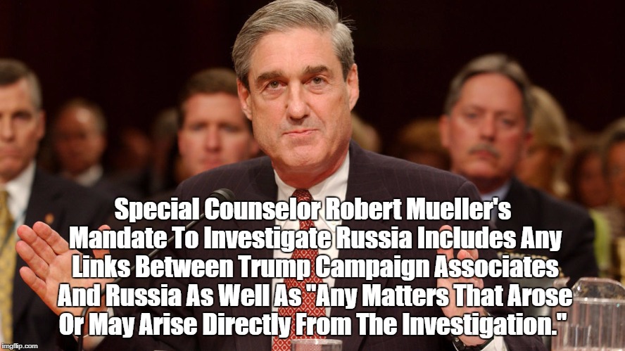 Image result for "pax on both houses" mueller