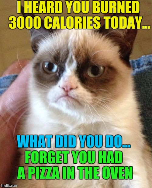 Stolen meme week (this one by DashHopes) | I HEARD YOU BURNED 3000 CALORIES TODAY... WHAT DID YOU DO... FORGET YOU HAD A PIZZA IN THE OVEN | image tagged in memes,grumpy cat,stolen memes week | made w/ Imgflip meme maker