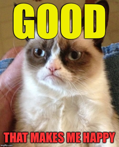 Grumpy Cat Meme | GOOD THAT MAKES ME HAPPY | image tagged in memes,grumpy cat | made w/ Imgflip meme maker