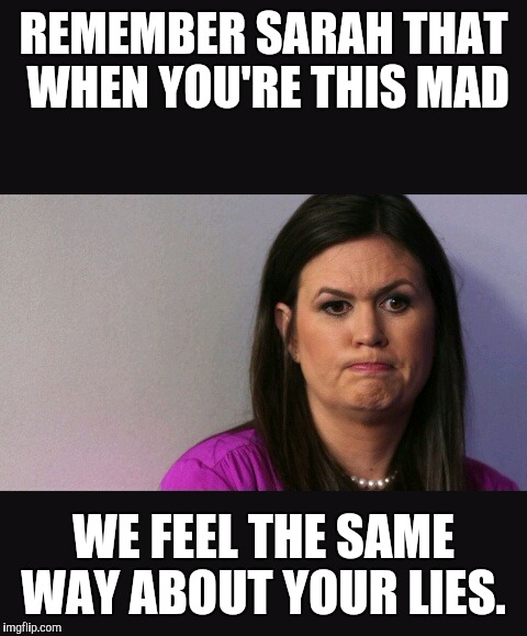 Mad Sarah Huckabee | REMEMBER SARAH THAT WHEN YOU'RE THIS MAD; WE FEEL THE SAME WAY ABOUT YOUR LIES. | image tagged in politics | made w/ Imgflip meme maker