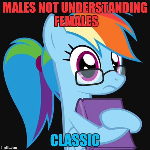 MALES NOT UNDERSTANDING FEMALES CLASSIC | made w/ Imgflip meme maker