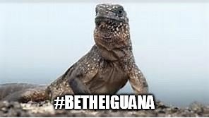 #BETHEIGUANA | image tagged in iguana | made w/ Imgflip meme maker