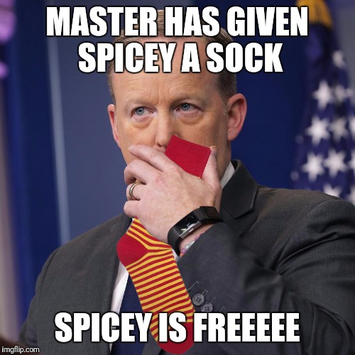MASTER HAS GIVEN SPICEY A SOCK; SPICEY IS FREEEEE | made w/ Imgflip meme maker