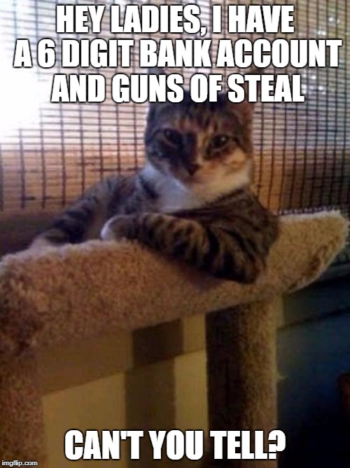 The Most Interesting Cat In The World | HEY LADIES, I HAVE A 6 DIGIT BANK ACCOUNT AND GUNS OF STEAL; CAN'T YOU TELL? | image tagged in memes,the most interesting cat in the world | made w/ Imgflip meme maker