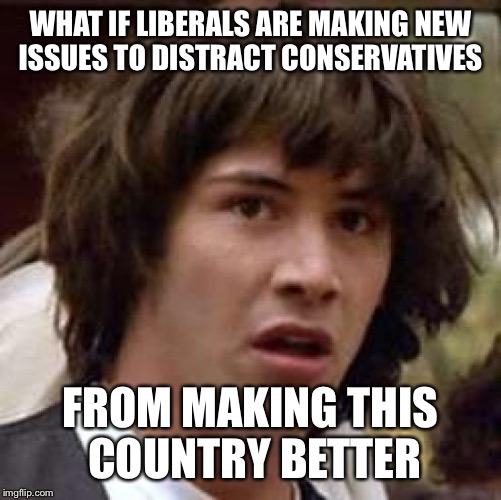 Conspiracy Keanu | WHAT IF LIBERALS ARE MAKING NEW ISSUES TO DISTRACT CONSERVATIVES; FROM MAKING THIS COUNTRY BETTER | image tagged in memes,conspiracy keanu | made w/ Imgflip meme maker