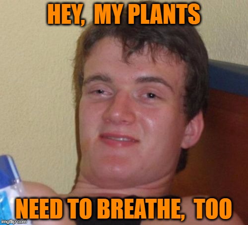 10 Guy Meme | HEY,  MY PLANTS NEED TO BREATHE,  TOO | image tagged in memes,10 guy | made w/ Imgflip meme maker