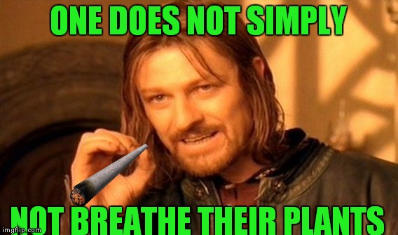 One Does Not Simply Meme | ONE DOES NOT SIMPLY NOT BREATHE THEIR PLANTS | image tagged in memes,one does not simply | made w/ Imgflip meme maker