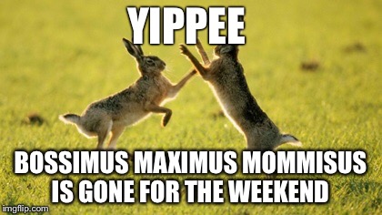 Rabbits Fighting | YIPPEE; BOSSIMUS MAXIMUS MOMMISUS IS GONE FOR THE WEEKEND | image tagged in rabbits fighting | made w/ Imgflip meme maker