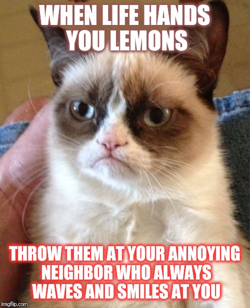 Grumpy Cat Meme | WHEN LIFE HANDS YOU LEMONS; THROW THEM AT YOUR ANNOYING NEIGHBOR WHO ALWAYS WAVES AND SMILES AT YOU | image tagged in memes,grumpy cat | made w/ Imgflip meme maker