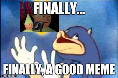 Sonic derp | FINALLY... FINALLY, A GOOD MEME | image tagged in sonic derp | made w/ Imgflip meme maker
