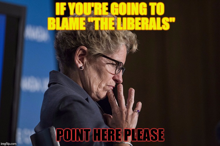 IF YOU'RE GOING TO BLAME "THE LIBERALS" POINT HERE PLEASE | made w/ Imgflip meme maker