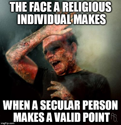 burning vampire | THE FACE A RELIGIOUS INDIVIDUAL MAKES; WHEN A SECULAR PERSON MAKES A VALID POINT | image tagged in burning vampire,religious,secular,valid | made w/ Imgflip meme maker