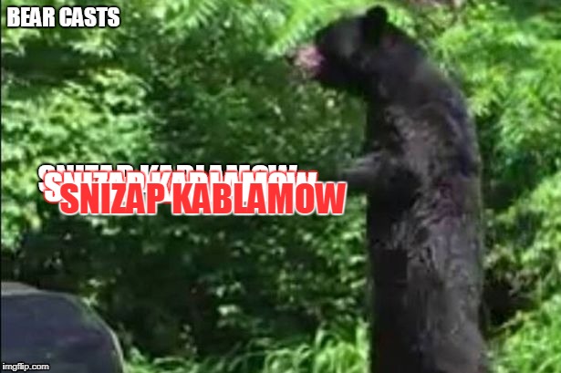 jebus the bear is a cleric who casts spells at america | SNIZAP KABLAMOW; SNIZAP KABLAMOW | image tagged in bear | made w/ Imgflip meme maker