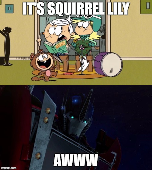 Optimus likes Lily's Squirrel Costume | IT'S SQUIRREL LILY; AWWW | image tagged in the loud house,transformers,cute,squirrel,memes | made w/ Imgflip meme maker
