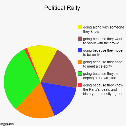Motivations to go to a rally or protest | image tagged in funny,pie charts | made w/ Imgflip chart maker