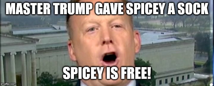 It was made in China, though | MASTER TRUMP GAVE SPICEY A SOCK; SPICEY IS FREE! | image tagged in sean spicer,free,sock,like dobby | made w/ Imgflip meme maker
