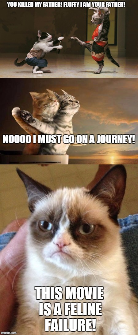 Bad Cat Movie 2- Fluffies journey | YOU KILLED MY FATHER! FLUFFY I AM YOUR FATHER! NOOOO I MUST GO ON A JOURNEY! THIS MOVIE IS A FELINE FAILURE! | image tagged in funny cats,grumpy cat | made w/ Imgflip meme maker
