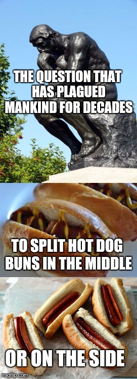 Please let me know.. | THE QUESTION THAT HAS PLAGUED MANKIND FOR DECADES; TO SPLIT HOT DOG BUNS IN THE MIDDLE; OR ON THE SIDE | image tagged in memes,funny memes,hotdogs,the thinker | made w/ Imgflip meme maker