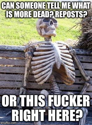 CAN SOMEONE TELL ME WHAT IS MORE DEAD? REPOSTS? OR THIS F**KER RIGHT HERE? | image tagged in memes,waiting skeleton | made w/ Imgflip meme maker
