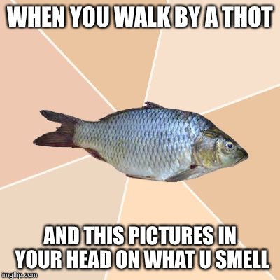 Wrong Place Tuna | WHEN YOU WALK BY A THOT; AND THIS PICTURES IN YOUR HEAD ON WHAT U SMELL | image tagged in wrong place tuna | made w/ Imgflip meme maker