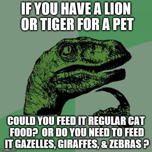 Philosoraptor Meme | IF YOU HAVE A LION OR TIGER FOR A PET; COULD YOU FEED IT REGULAR CAT FOOD?  OR DO YOU NEED TO FEED IT GAZELLES, GIRAFFES, & ZEBRAS ? | image tagged in memes,philosoraptor | made w/ Imgflip meme maker