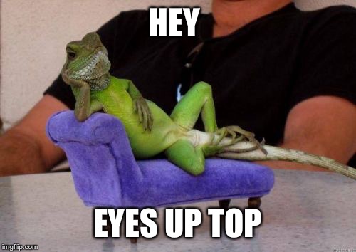 Sassy Iguana Meme | HEY; EYES UP TOP | image tagged in memes,sassy iguana | made w/ Imgflip meme maker