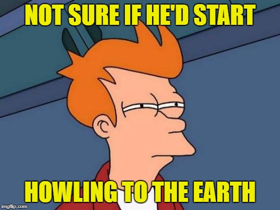 Futurama Fry Meme | NOT SURE IF HE'D START HOWLING TO THE EARTH | image tagged in memes,futurama fry | made w/ Imgflip meme maker