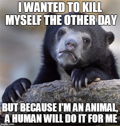 Confession Bear Meme | I WANTED TO KILL MYSELF THE OTHER DAY; BUT BECAUSE I'M AN ANIMAL, A HUMAN WILL DO IT FOR ME | image tagged in memes,confession bear | made w/ Imgflip meme maker