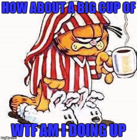 Garfield | HOW ABOUT A BIG CUP OF; WTF AM I DOING UP | image tagged in garfield | made w/ Imgflip meme maker