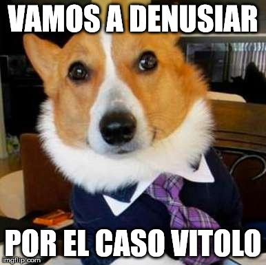 LAWYER DOG | VAMOS A DENUSIAR; POR EL CASO VITOLO | image tagged in lawyer dog | made w/ Imgflip meme maker