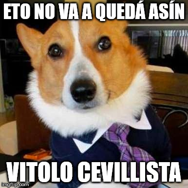 LAWYER DOG | ETO NO VA A QUEDÁ ASÍN; VITOLO CEVILLISTA | image tagged in lawyer dog | made w/ Imgflip meme maker