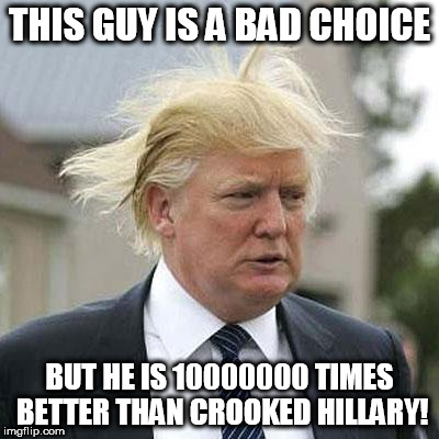 Donald Trump | THIS GUY IS A BAD CHOICE; BUT HE IS 10000000 TIMES BETTER THAN CROOKED HILLARY! | image tagged in donald trump | made w/ Imgflip meme maker
