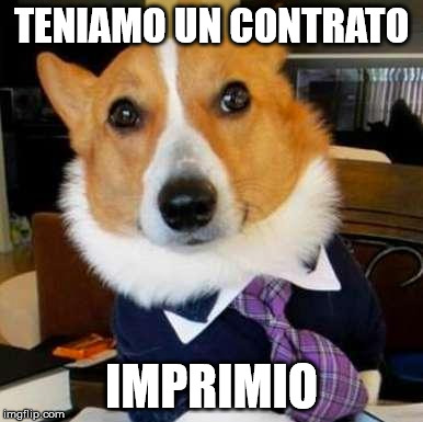 LAWYER DOG | TENIAMO UN CONTRATO; IMPRIMIO | image tagged in lawyer dog | made w/ Imgflip meme maker