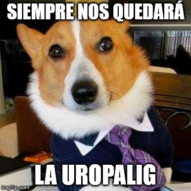 LAWYER DOG | SIEMPRE NOS QUEDARÁ; LA UROPALIG | image tagged in lawyer dog | made w/ Imgflip meme maker