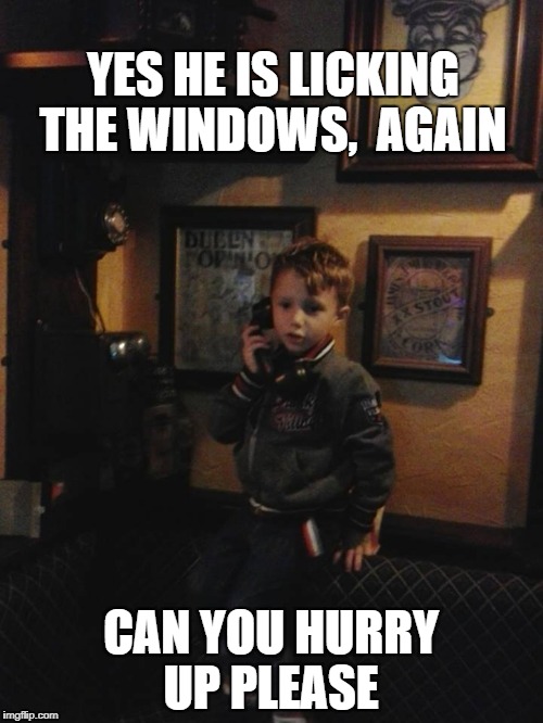 YES HE IS LICKING THE WINDOWS,  AGAIN; CAN YOU HURRY UP PLEASE | image tagged in dorian turner | made w/ Imgflip meme maker