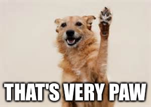Dog paw | THAT'S VERY PAW | image tagged in dog paw | made w/ Imgflip meme maker