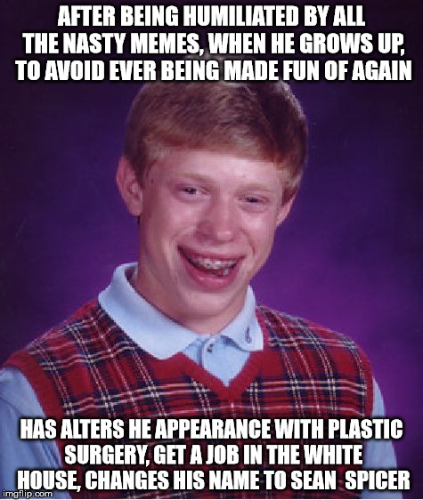 Bad Luck Brian Meme | AFTER BEING HUMILIATED BY ALL THE NASTY MEMES, WHEN HE GROWS UP, TO AVOID EVER BEING MADE FUN OF AGAIN; HAS ALTERS HE APPEARANCE WITH PLASTIC SURGERY, GET A JOB IN THE WHITE HOUSE, CHANGES HIS NAME TO SEAN  SPICER | image tagged in memes,bad luck brian | made w/ Imgflip meme maker