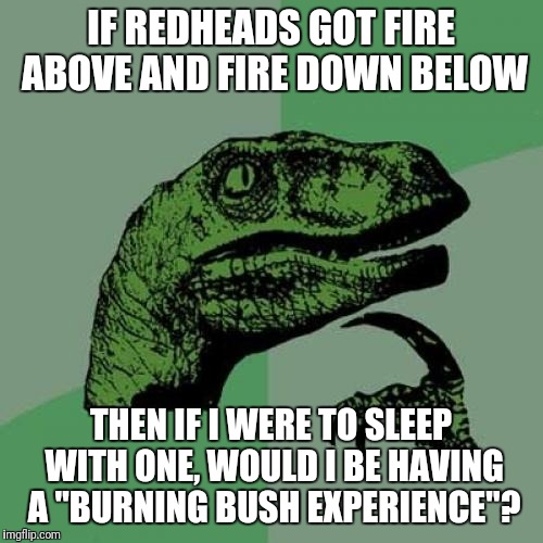 Philosoraptor | IF REDHEADS GOT FIRE ABOVE AND FIRE DOWN BELOW; THEN IF I WERE TO SLEEP WITH ONE, WOULD I BE HAVING A "BURNING BUSH EXPERIENCE"? | image tagged in memes,philosoraptor | made w/ Imgflip meme maker