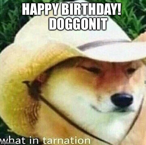 What in tarnation dog | HAPPY BIRTHDAY!
    DOGGONIT | image tagged in what in tarnation dog | made w/ Imgflip meme maker