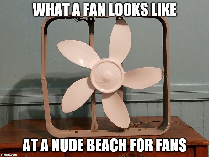 WHAT A FAN LOOKS LIKE; AT A NUDE BEACH FOR FANS | image tagged in fan | made w/ Imgflip meme maker