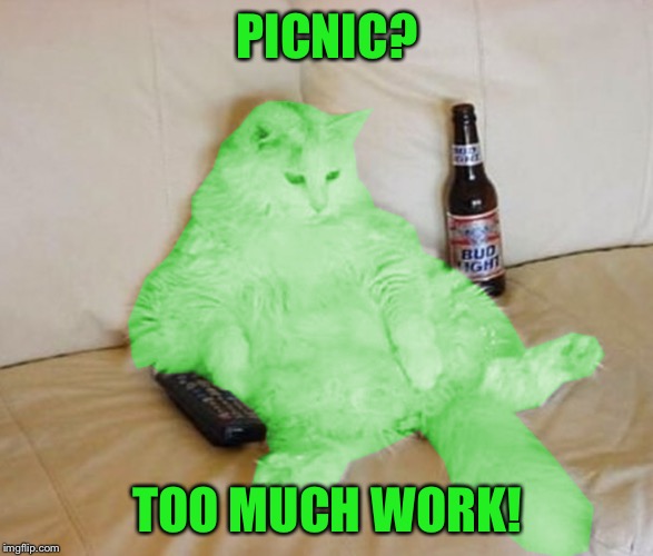 RayCat Chillin' | PICNIC? TOO MUCH WORK! | image tagged in raycat chillin' | made w/ Imgflip meme maker