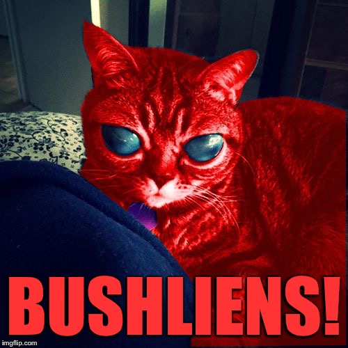 RayCat Aliens | BUSHLIENS! | image tagged in raycat aliens | made w/ Imgflip meme maker