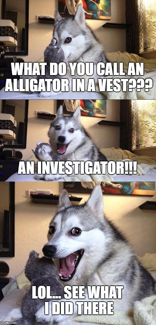 Investigator | WHAT DO YOU CALL AN ALLIGATOR IN A VEST??? AN INVESTIGATOR!!! LOL... SEE WHAT I DID THERE | image tagged in memes,bad pun dog | made w/ Imgflip meme maker