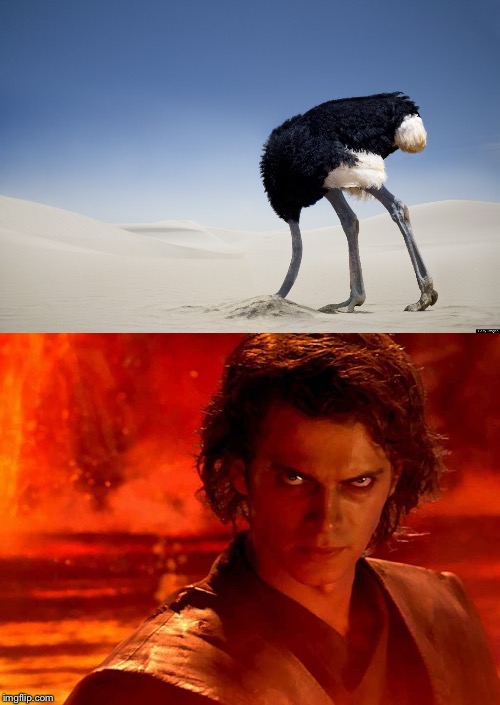 An ostrich has a completely different view on sand to anakin | image tagged in star wars,anakin skywalker,ostrich,sand | made w/ Imgflip meme maker