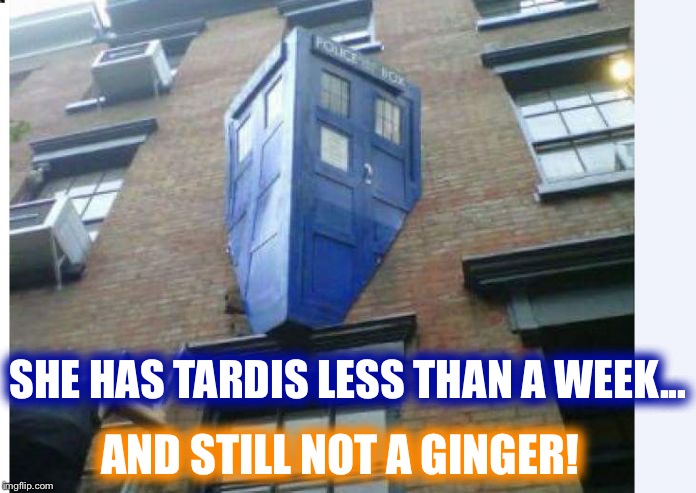 SHE HAS TARDIS LESS THAN A WEEK... AND STILL NOT A GINGER! | image tagged in tardis accident caused by woman driver | made w/ Imgflip meme maker