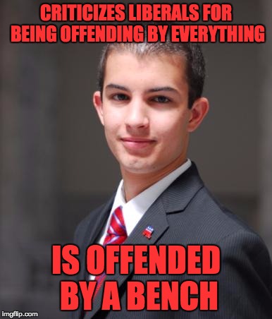 CRITICIZES LIBERALS FOR BEING OFFENDING BY EVERYTHING IS OFFENDED BY A BENCH | made w/ Imgflip meme maker