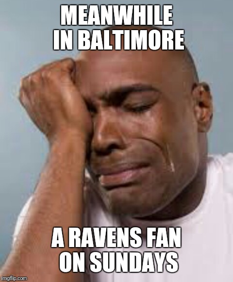 MEANWHILE IN BALTIMORE; A RAVENS FAN ON SUNDAYS | image tagged in harold pearson | made w/ Imgflip meme maker